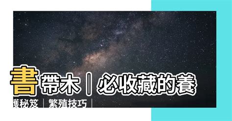 書帶木風水|【書帶木】書帶木｜必收藏的養護秘笈｜繁殖技巧｜花 